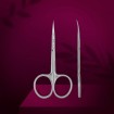 Staleks Exclusive (SX-22/2M) Cuticle scissors with hook type 2